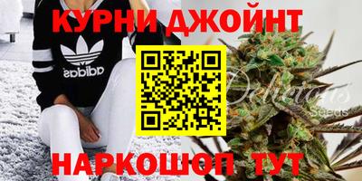 mdpv Прокопьевск