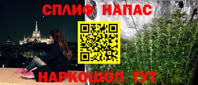шишки Прохладный