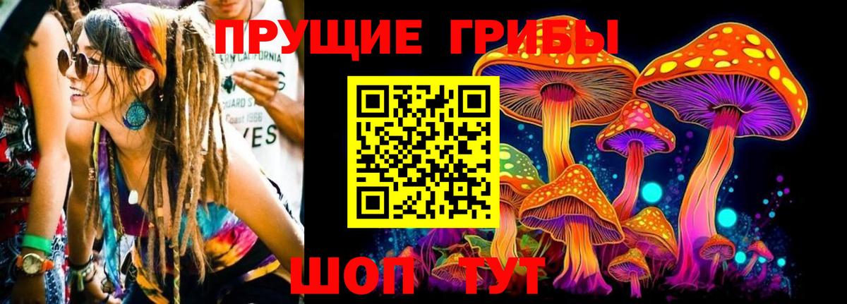 Карталы  Галлюциногенные грибы Psilocybe  где купить наркотик  Псилоцибиновые грибы Psilocybine cubensis  Вход с VPN 
